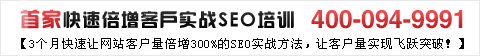 超级SEO培训简介